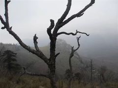 -秦岭风景区