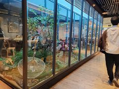 -拈菜(观音桥阳光世纪店)