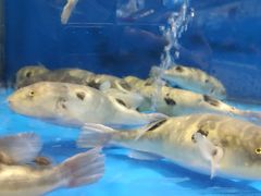 -北塘海鲜·天津菜(大光明桥旗舰店)