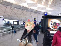 -翠华餐厅(香港国际机场店)