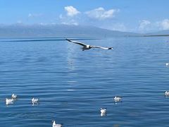 -青海湖国家重点风景名胜区