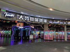 -大鲁阁保龄球(苏州园区店)