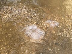 -东戴河风景区-止锚湾