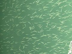 -神农溪纤夫文化旅游区