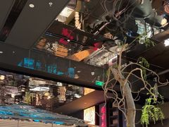 -桂满陇·海市蜃楼·黑金(国金店)