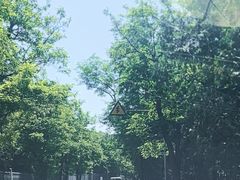 -十三陵水库