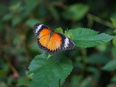 -上海动物园(地铁站)