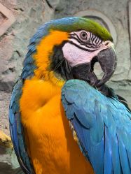 -Zoolung Zoolung动物主题公园(海信广场店)