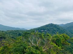 -亚龙湾热带天堂森林公园