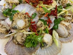 油泼扇贝-1910老鲁味海鲜·戳子肉·青岛菜(金沙滩店)