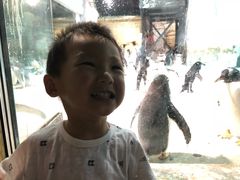 -大连圣亚海洋世界