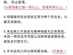 -荔康动物医院(康王北路店)