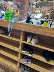 -卡通尼·Safari非洲探索乐园·生日会(金桥国际商业广场店)