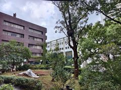 -香港大学