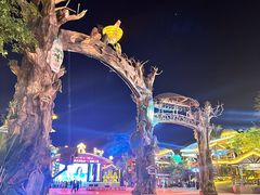 -海南槟榔谷黎苗文化旅游区