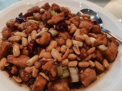 宫保鸡丁-眉州东坡(民族园店)