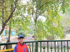 -俄罗斯风情小镇