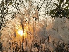 -梁鸿国家湿地公园
