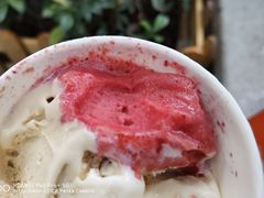 -Dip in Gelato(富民路店)