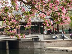 -元大都城垣遗址公园