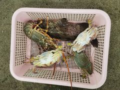 -班赞海鲜市场