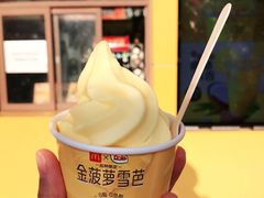 -麦当劳(新王府井店)