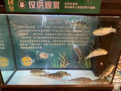 -肆月河豚·淮扬菜·湘菜(华天店)