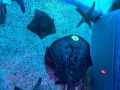 -正佳极地海洋世界