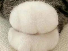 -德华楼(武胜路店)