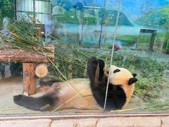 -上海野生动物园