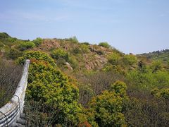 -白马涧龙池景区