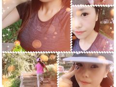 -黄村公园