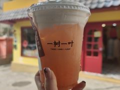 -一树一叶·福建茶档(石鼓路店)
