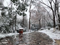 -天目湖山水园