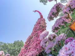 -中国科学院华南植物园
