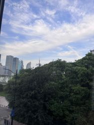 -上海首尔丽格医疗美容医院