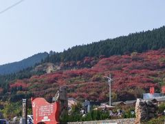 -博山九龙峪风景区