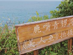-杨梅坑