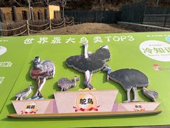 -沈阳森林动物园