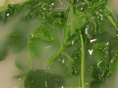 -福记大酒店(星湖街区店)