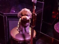 -Miohca缪卡KTV(和平店)