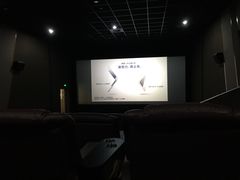 -幸福蓝海国际影城(河西店)