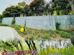 -宝岛公园