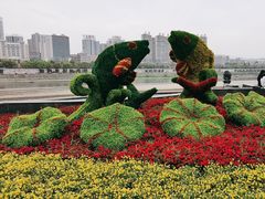 -汉江公园