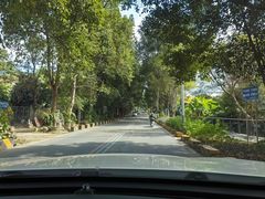 -风云岭森林公园