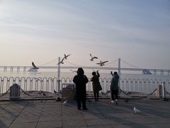 -星海湾跨海大桥