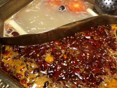-蜀九香火锅(彩虹店)