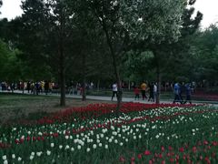 -长春公园(普阳街道)