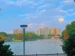 -荔湾湖公园