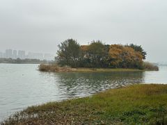 -贡湖湾湿地公园